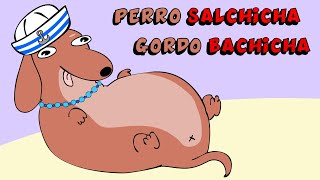 Cancion viral de TikTok Perro salchicha gordo Bachicha  Animación [upl. by Stephana200]