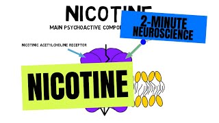 2Minute Neuroscience Nicotine [upl. by Anima509]