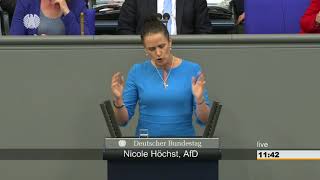 AfD Nicole HöchstUnsere Bildungsnation fährt laut krachend an die Wand [upl. by Huntley]