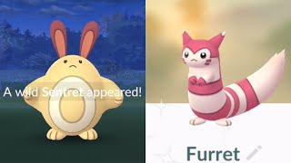 Catching SHINY Sentret in Pokemon Go Shiny Furret Evolution [upl. by Certie]