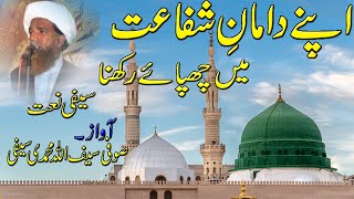 Saifi Naat 2022  Apnay Damaanay Shafaat Main  Sufi Saifullah Saifi saifi saifinaat2022 saifi [upl. by Ahsael]