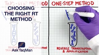 What is the Right RT Method for Your Experiment Ask TaqMan  Korean Subtitles [upl. by Koziarz]