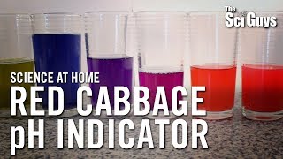 The Sci Guys Science at Home  SE2  EP4 Red Cabbage pH Indicator  Acid Base Indicator [upl. by Lareena]