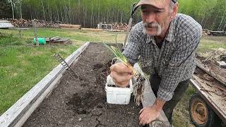 DIY Solar Powered Water Supply For The Garden Moving dirt By Shovel For Last New Planter S3E46 [upl. by Rehoptsirhc]