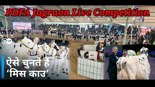 PDFA Jagraon Live Competition Nain Dairy Farm [upl. by Lirrad]