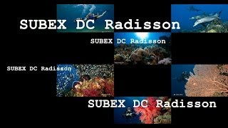 Tauchen mit SUBEX DC Radisson El Quseir [upl. by Enaujed994]