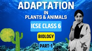 Adaptation in Plants amp Animals  ICSE CLASS 6 BIOLOGY  PART1 [upl. by Aket]