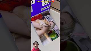 cat and photo ❤️cat cats funny shorts [upl. by Camm]