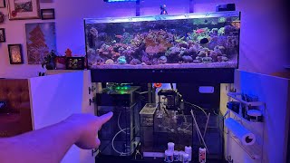 Reef Aquarium ATO Reservoir  Innovative Marine 15 Gallon tank [upl. by Ajak]