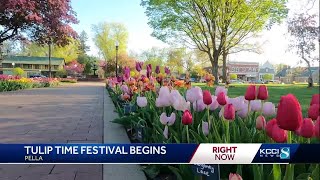 Tulip Time in full bloom in Pella [upl. by Grand]