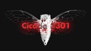 Cicada 3301 An Internet Mystery [upl. by Arliene]