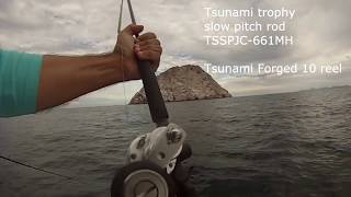 Tsunami Slow pitch 66quot amp Forged 10 [upl. by Linell574]