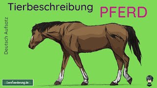 Tierbeschreibung Pferd  Beispiel für die nächste Klassenarbeit [upl. by Hyps262]