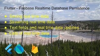 Flutter  Firebase Realtime Database Persistence [upl. by Safoelc754]