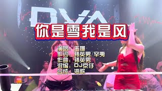 王娜《你是雪我是风》DJ京仔版 KTV 导唱字幕 （备有伴奏视频） [upl. by Fredelia618]