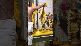 Mudikondan Kodanda Ramar Thirumanjanam Turmeric abhishekam Bharadhwaja ashram Southern India [upl. by Eninnaj]