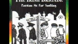 The Irish Brigade  Medley Off to DublinBroad Black BrimmerProvo Lullabye [upl. by Yht]