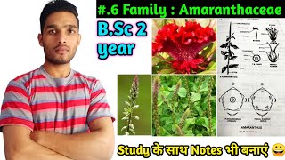 Family Amaranthaceae  Floral formula Vegetative characters Economic Importance BSc 2 year [upl. by Koressa]