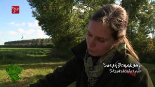 Natuurlijk Flevoland van 10102014 [upl. by Eidahs]