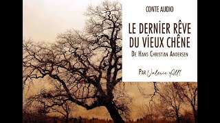 🎄 LE DERNİER RÊVE DU VİEUX CHÊNE de HC Andersen ✨ CONTE AUDIO par Valérie All1 [upl. by Notlehs189]