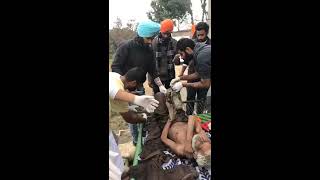 Worst case of Human lice Infestation  Manukhta di Sewa Society Ludhiana  MDSS [upl. by Anitsirc]