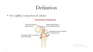 Concept of anastomosis [upl. by Anatnahs]