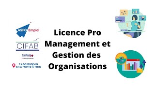 Licence Pro Management et Gestion des Organisations [upl. by Cut794]