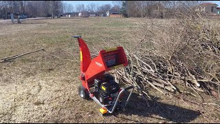 Urban Wood Chipper Hecht 6208 in action [upl. by Amos]