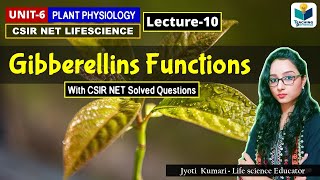 GIBBERELLIN FUNCTIONS PHYTOHORMONES PART10 CSIR NETPLANT BIOLOGY [upl. by Egni968]