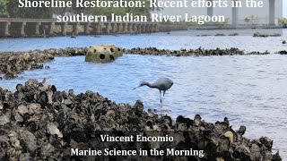 CommunityBased Oyster Seagrass and Living Shoreline Restoration Efforts in the Indian River Lagoon [upl. by Rebekkah679]