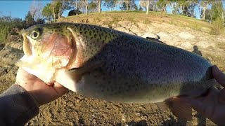 Quick Lake Poway trout session [upl. by Helali374]