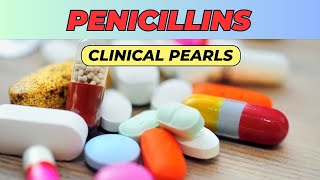 penicillins clinical pharmacology antibiotics clinical pearls clinical pharmacology made simple [upl. by Thaddeus]