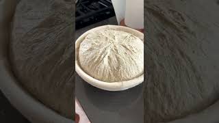 Perfecting Sourdough How a Proofing Basket Transformed My Baking [upl. by Georglana]