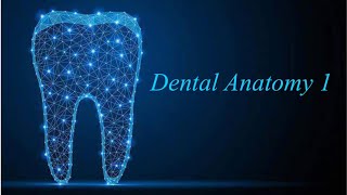 1  Anatomical Landmarks Of The Maxilla And Mandible [upl. by Ecyle129]