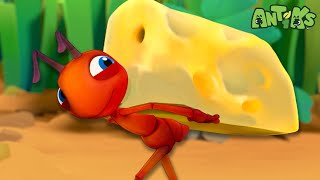 Its a Gouda Day to Be an Ant 🧀  🐜 Antiks 🐜  Funny Cartoons for Kids  Moonbug [upl. by Nnor]