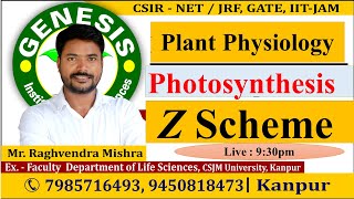 Photosynthesis  Z Scheme  Plant Physiology  CSIR NETJRF  IITJAM [upl. by Jany]