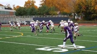 Hartford Wildcats vs New Britain 12U 2015 Championship [upl. by Housum461]