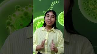 What is Dicotyledon  Definition Diagram Examples amp Facts  Plants amp Root  Seeds  Adhyayanta [upl. by Talia]