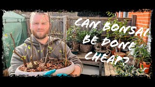 Can I make a Bonsaiplanting As cheap as possible Bonsai Challenge [upl. by Catharina]