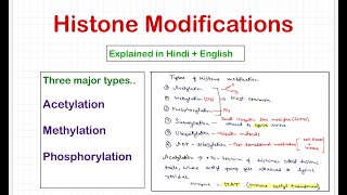 Histone Modifications [upl. by Gahan444]