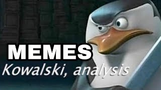 KOWALSKI ANALYSIS MEMES COMPILATION [upl. by Pomfrey]