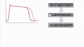 Class III antiarrhythmics [upl. by Toshiko]