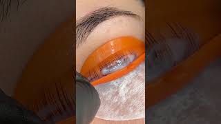 elleebana lash lift🧡 lashlifting lashliftandtint lashliftkit lashliftprocess lashlifttutorial [upl. by Wrigley]