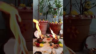 Karthika deepam song song ytshort nandudeepu [upl. by Merwyn]