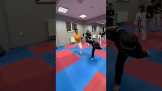 taekwondo karate martialarts poomsae mma tkd judo blackbelt sports kickboxing acrobatics [upl. by Akiam740]