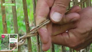 Tresser le saule  cabanes tunnels tontines Par Terre vivante [upl. by Lonny]