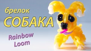 СОБАКА щенок из Rainbow Loom Bands Урок 98 [upl. by Emalee756]