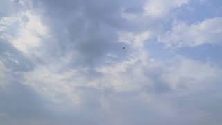 RC Plane Flying [upl. by Efal]