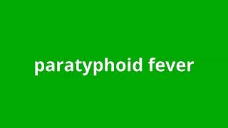 what is the meaning of paratyphoid fever [upl. by Anierdna]