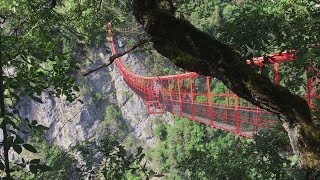 Des acrophobes apprivoisent leur peur du vide en marchant sur le pont suspendu de Niouc [upl. by Milon859]